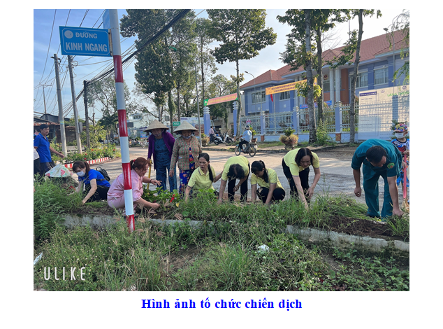 ảnh 13